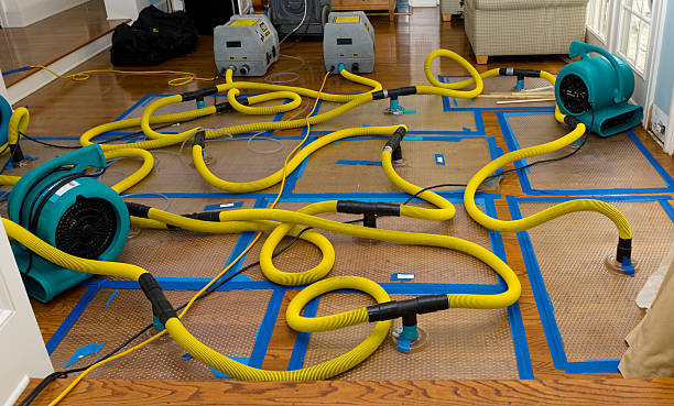 Professional Structural Drying And Dehumidification technician working in Fresno, OH